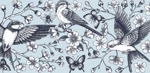 Hand-drawn floral illustration for print. T-shirt design. Cherry blossom and flying bird sketch illustration. Vintage spring background. NOT AI generated
