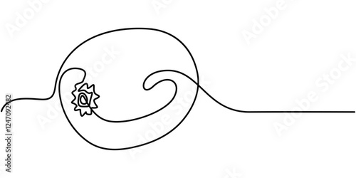 Continuous one single line drawing of kiwi fruit. Vector illustration, Continuous one line drawing of whole and sliced healthy organic kiwi for orchard logo identity. Fresh hairy fruitage concept.