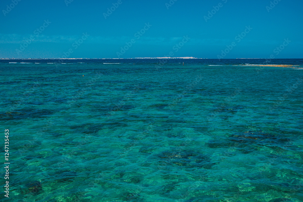 Seascape. Red Sea in Egypt Seascape. Red Sea in Egypt