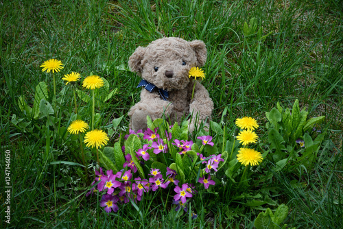 teddy bear in grass and flowers