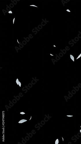 Falling Petals White – 9:16 Transparent | 白い花びらのパーティクルアニメーション　縦動画　背景透過