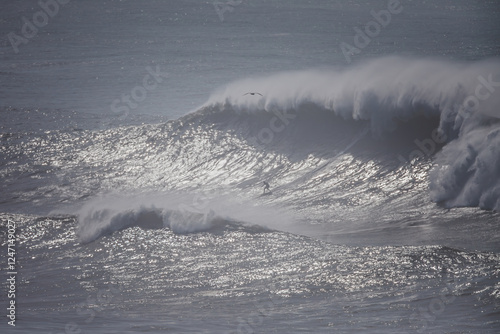 Big Wave Surfing at Mavericks – A Surfer Conquers a Giant Ocean Swell photo