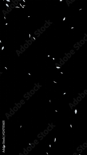 Falling Petals White – 9:16 Transparent | 白い花びらのパーティクルアニメーション　縦動画　背景透過