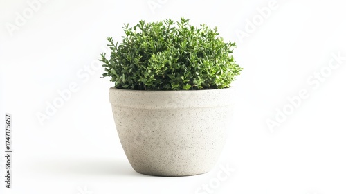 A single outdoor planter isolated on a white background, ideal for promoting home garden decor.