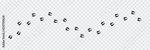 Animal footpath trail vector illustration 
