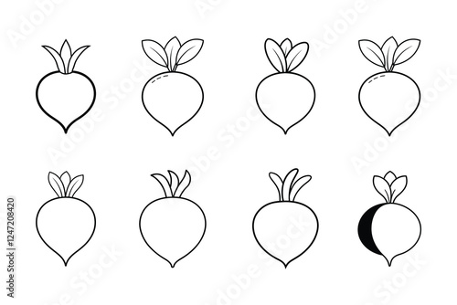 Radish Raphanus Sativus Line Art Vector Illustration with Labels