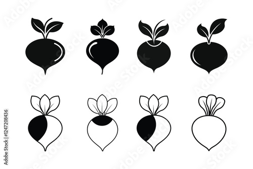 Radish Raphanus Sativus Line Art Vector Illustration with Labels