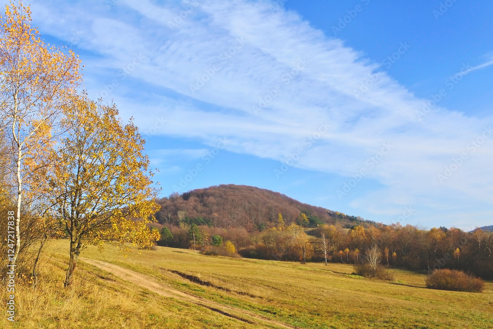 Autumn mountains landscape. Trees on a slope with dry grass and wooded mountains under blue sky with white clouds, Low Beskid (Beskid Niski) Autumn mountains landscape. Trees on a slope with dry grass and wooded mountains under blue sky with white clouds, Low Beskid (Beskid Niski)