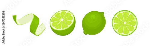 Lime set. Whole citrus fruit, cut in half, slice and green zest. Vector cartoon food illustration.