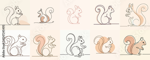 set vector squirrel