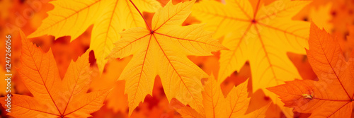 Wallpaper Mural Bright orange and yellow autumn maple leaves in close-up
 Torontodigital.ca
