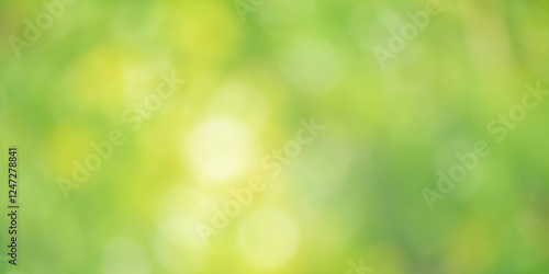 Wallpaper Mural Defocus light natural blurred green plant. Bokeh defocus. Torontodigital.ca