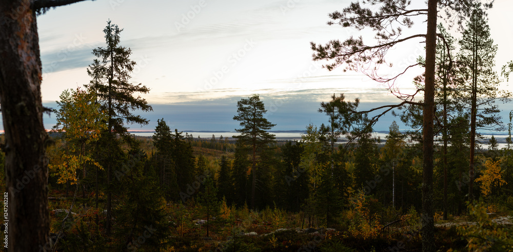 Obraz premium Scenic morning view over Nordic forest and distant lakes from a hillside vantage point