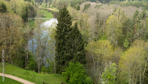 Wallpaper Mural Šventoji River in spring, Lithuania. Scenic view from a height of 21 meters on the bends of the river and the forests growing on both sides. Torontodigital.ca