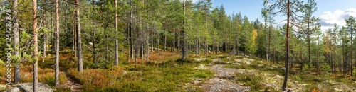Podobny obraz