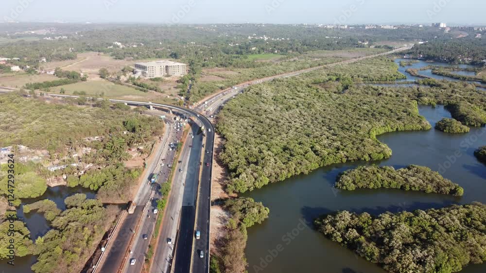 aerial view of the road along mangroves aerial view of the road along mangroves