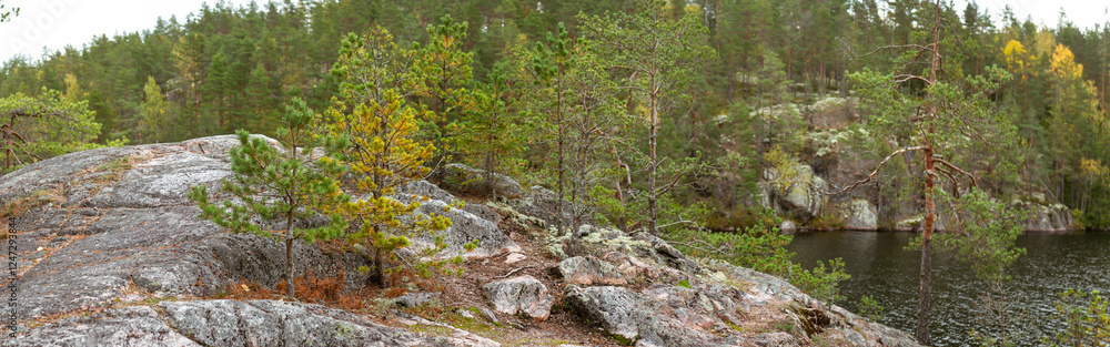 Rocky Cliffside Overlooking Calm Lake with Small Pine Trees and Autumn Foliage in Finnish Wilderness Rocky Cliffside Overlooking Calm Lake with Small Pine Trees and Autumn Foliage in Finnish Wilderness