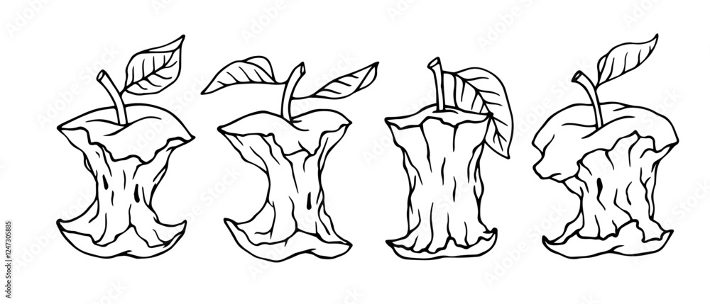 Fototapeta premium Set of linear sketches, coloring pages of apple cores, heads. Vector graphics.