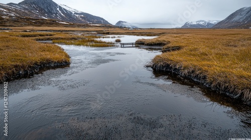 Calm stream flows through autumnal tundra, mountains backdrop; nature scene