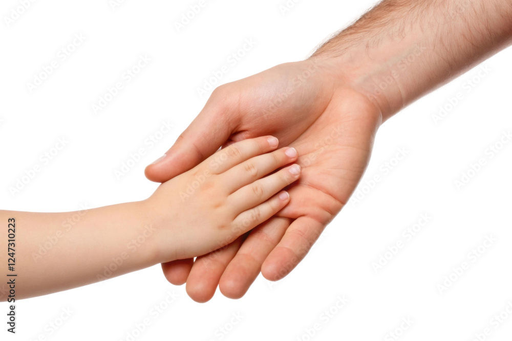 Touching connection between adult and child hand, cut out Touching connection between adult and child hand, cut out