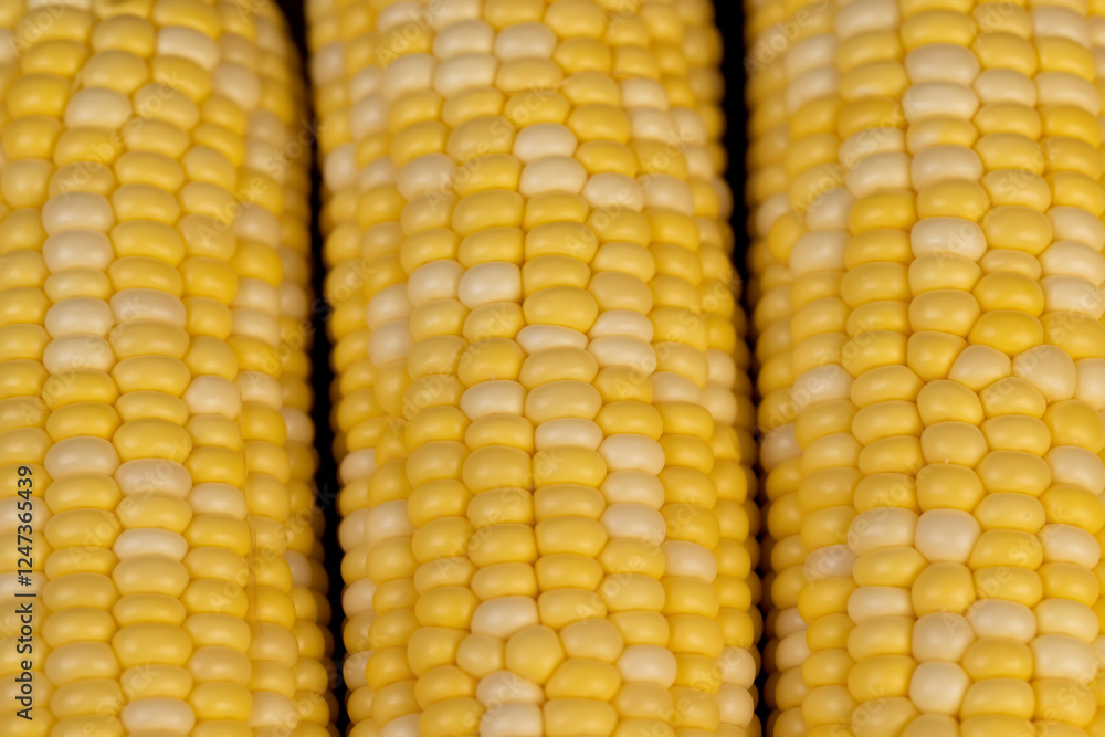 peeled corn cob with yellow and white seeds of different sizes and shades peeled corn cob with yellow and white seeds of different sizes and shades