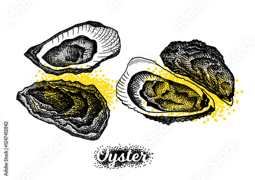 Vintage oyster shell vector illustrations in engraving, dot style. set of elements for menu, flier, t-shirt print, cards.
