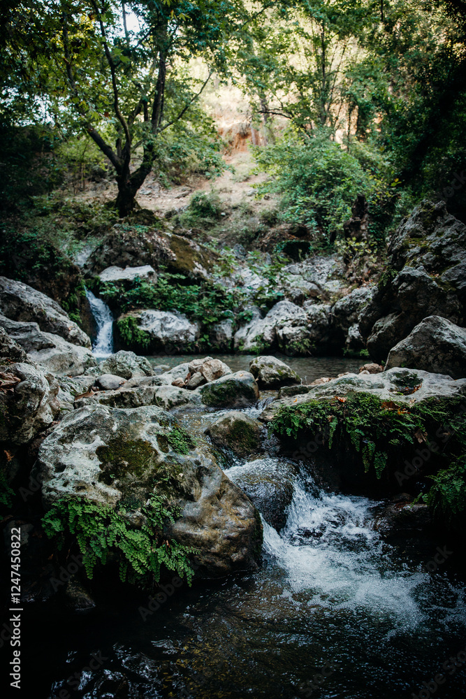 A small serene waterfall flowing over mossy rocks surrounded by lush greenery in a peaceful forest. Perfect for themes of tranquility, nature, and scenic beauty A small serene waterfall flowing over mossy rocks surrounded by lush greenery in a peaceful forest. Perfect for themes of tranquility, nature, and scenic beauty