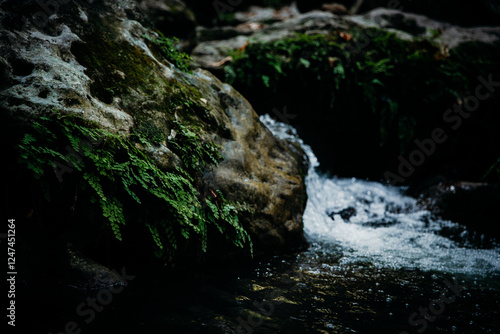 Close-up of a moss-covered rock by a flowing stream, with water glistening under soft light. A peaceful and natural scene perfect for themes of nature and tranquility photo