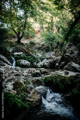 A serene forest stream cascading over mossy rocks surrounded by lush greenery. The tranquil and picturesque setting is perfect for nature themes and outdoor adventure concepts
