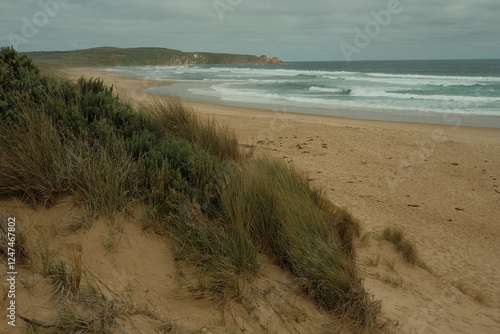 View of Beach and Sand Dunes photo