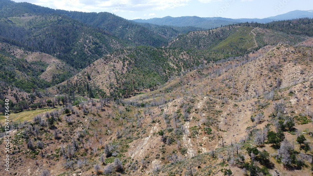 Fototapeta premium Mountain trail