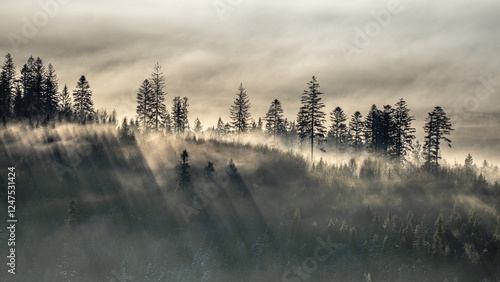 Fototapeta Naklejka Na Ścianę i Meble -  poranne mgły w górach