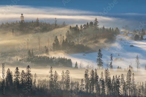 Fototapeta Naklejka Na Ścianę i Meble -  poranne mgły w górach