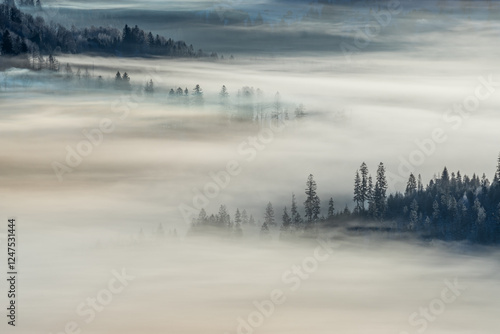 Fototapeta Naklejka Na Ścianę i Meble -  poranne mgły w górach