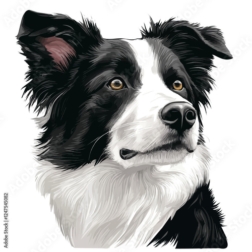 Border Collie Head – Energetic Watercolor Vector Illustration for Creative Projects  
