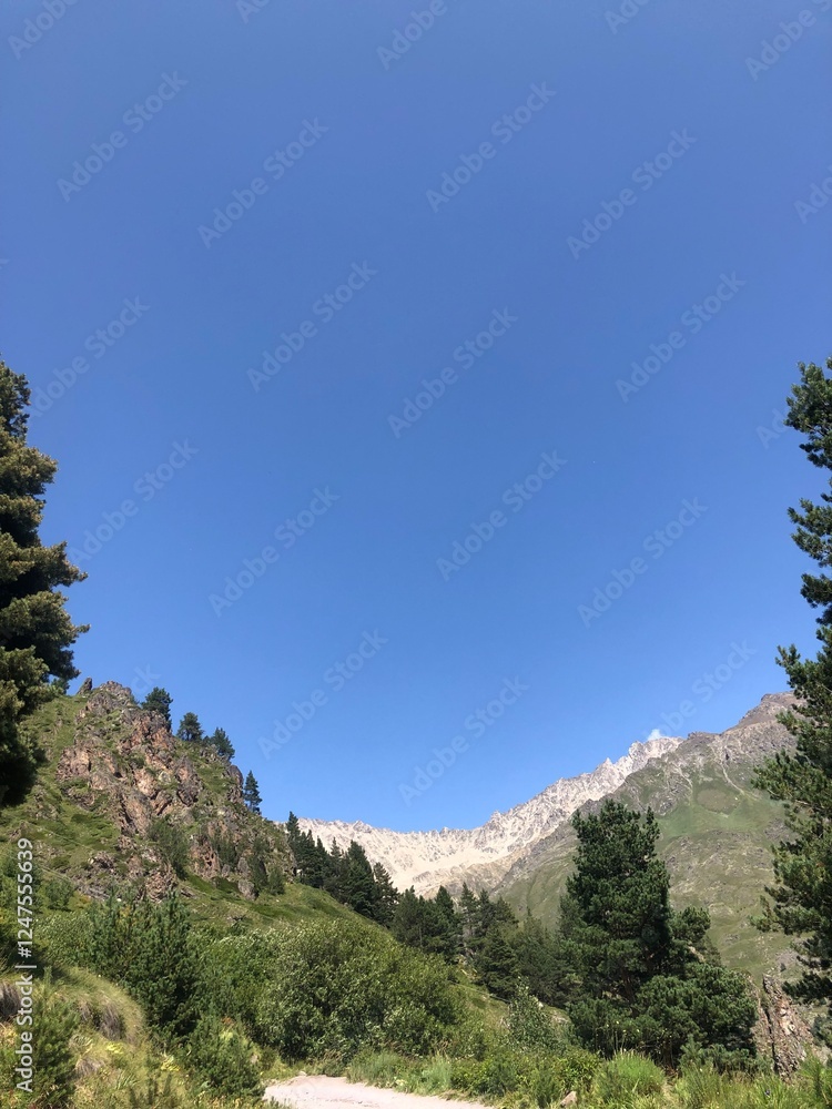 Obraz premium A bright sunny day in the mountains, with lush green trees covering the slopes. The clear blue sky and warm sunlight create a breathtaking and peaceful natural landscape.