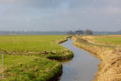 Winter countryside landscape, Flat and low land with mist or fog in morning, Typical Dutch polder with green grass meadow, Small canal or ditch on the field with village in Noord Holland, Netherlands.