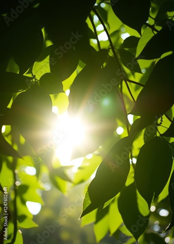 Sunlight filtering through lush green leaves bokeh green bokeh green abstract background light bright blur pattern