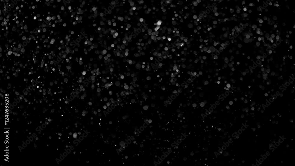 Natural Organic Dust Particles Floating On Black Background. Dynamic Dust Particles Randomly Float In Space With Fast And Slow Motion. Shimmering Glittering White Particles With Bokeh In The Air.
Natural Organic Dust Particles Floating On Black Background. Dynamic Dust Particles Randomly Float In Space With Fast And Slow Motion. Shimmering Glittering White Particles With Bokeh In The Air.
