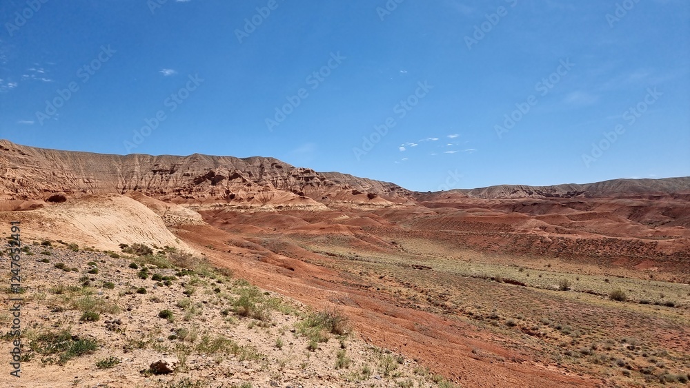 Naklejka premium beautiful landscape of the desert 
