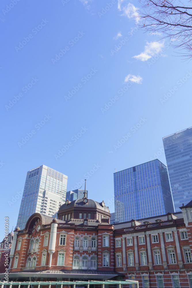 Fototapeta premium 日本の風景｜東京駅の駅舎の風景
