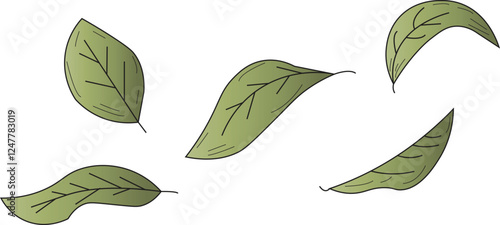 the illustration of leaves that are being blown by the wind.