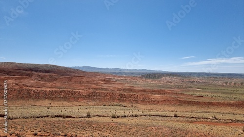 beautiful nature of the desert
