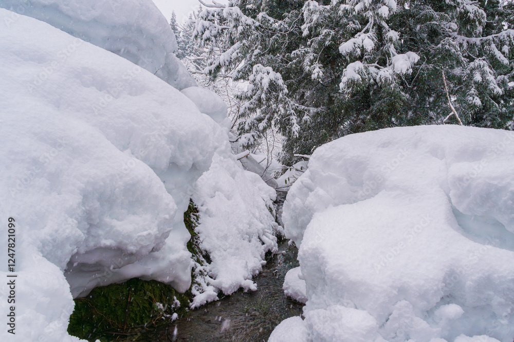 雪山を流れる沢の水
雪山を流れる沢の水