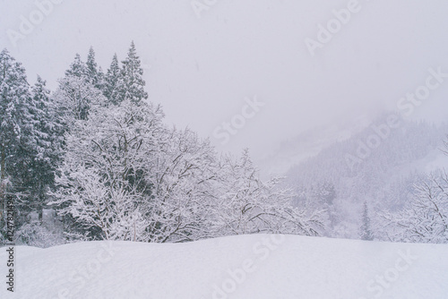 吹雪に霞む雪原と冬山
 photo