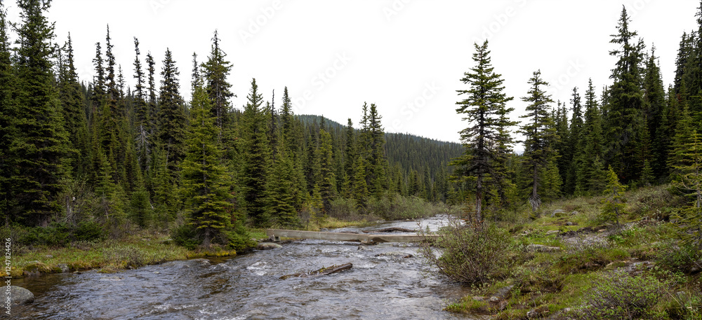 Panorama of a small rocky river running through a mountain forest with transparent sky
Panorama of a small rocky river running through a mountain forest with transparent sky