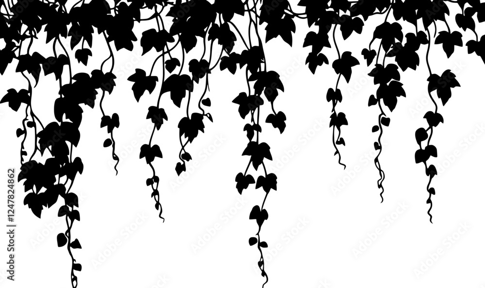 Obraz premium Hanging ivy vine silhouette border