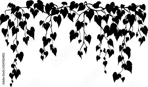 Hanging ivy vine silhouette border