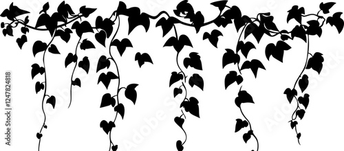 Hanging ivy vine silhouette border