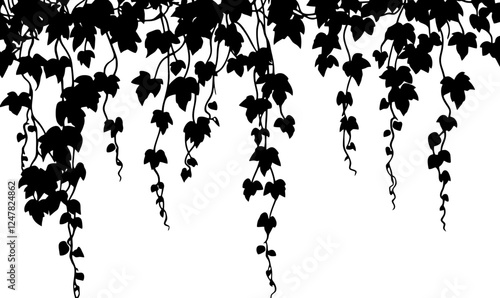 Hanging ivy vine silhouette border